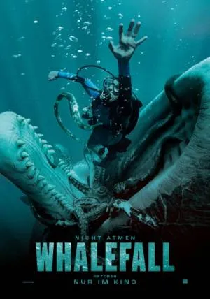 Whalefall – Casablanca