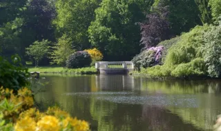Zeichenkurs – Schlossgarten