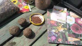 Workshop „Samenkugeln herstellen“ für den KinderKunstAutomaten – Horst-Janssen-Museum