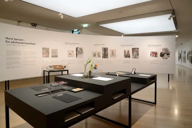 Horst-Janssen-Museum – Foto 3