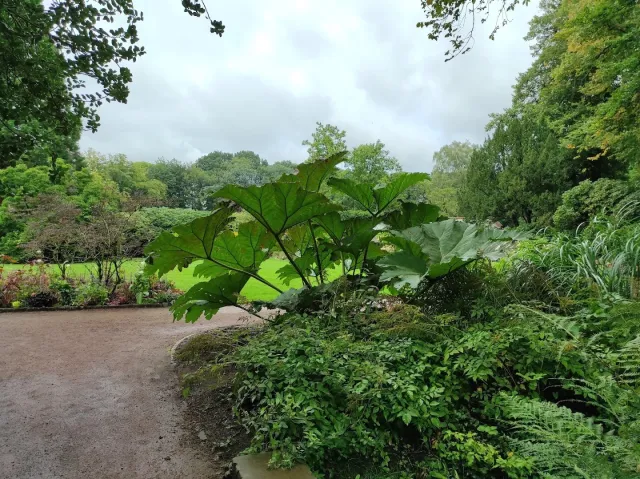 Schlossgarten – Foto 3