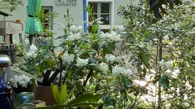 STAUBLAU galerie & café – Foto 3