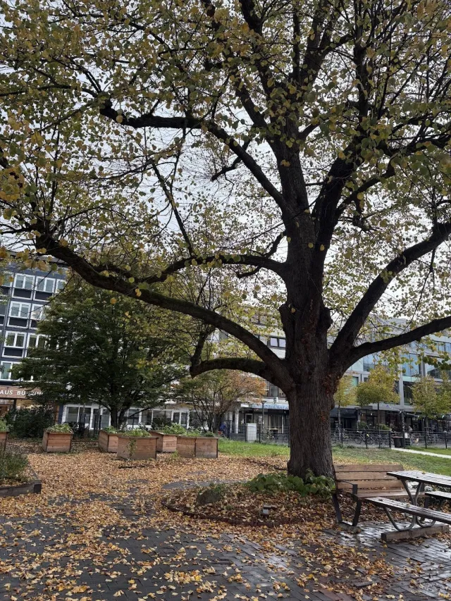 Heiligengeistpark – Foto 2