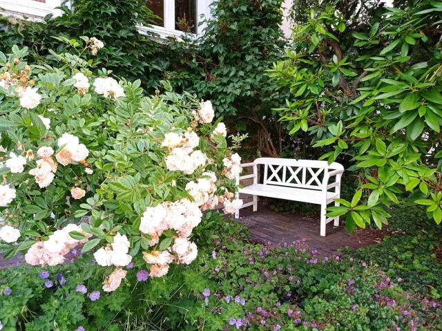 Rosenhaus Oldenburg – Foto 1